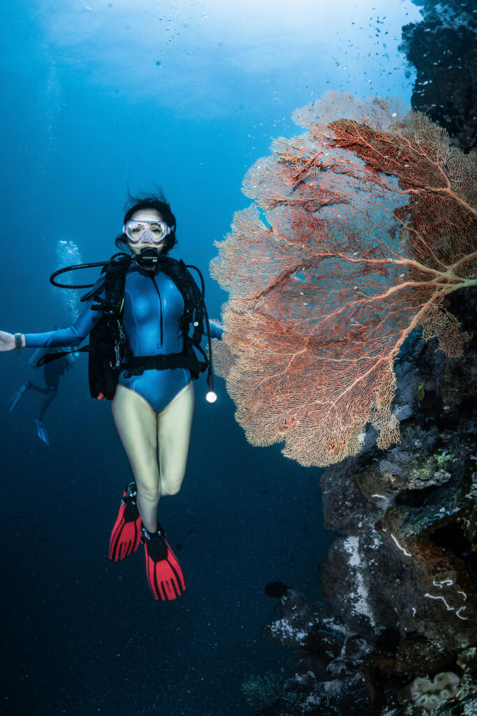 Fun dive